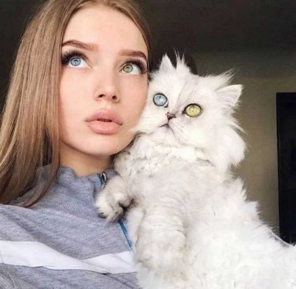 دختر و گربه چشم دو رنگ جذاب و خاص